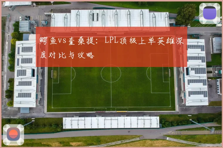 鳄鱼vs奎桑提：LPL顶级上单英雄深度对比与攻略