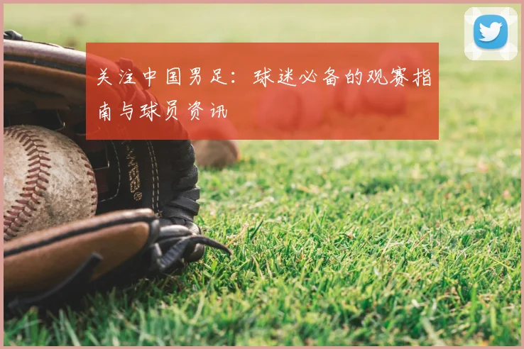 关注中国男足:球迷必备的观赛指南与球员资讯
